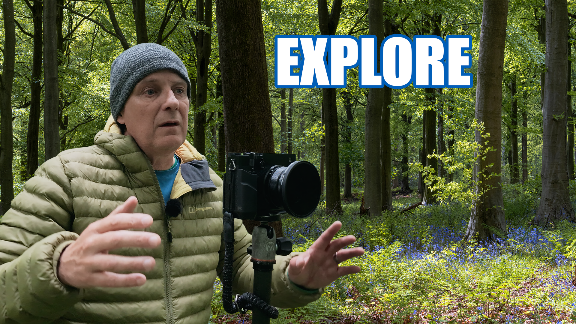 You Don’t Need Epic Conditions for Woodland Photography