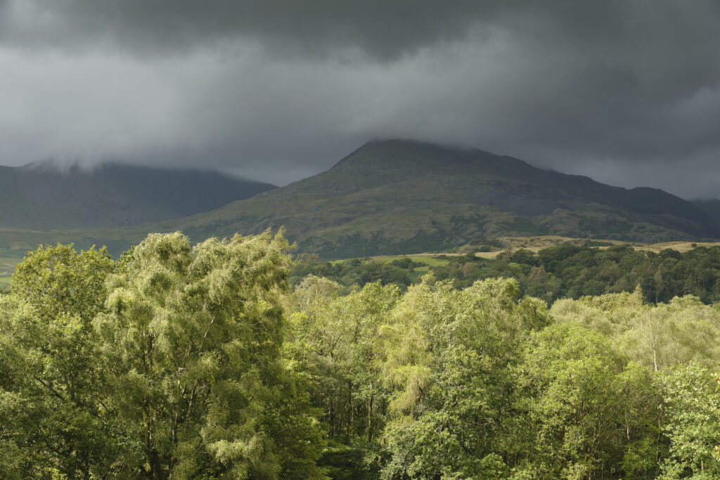 England, Cumbria, Lake District National Park.