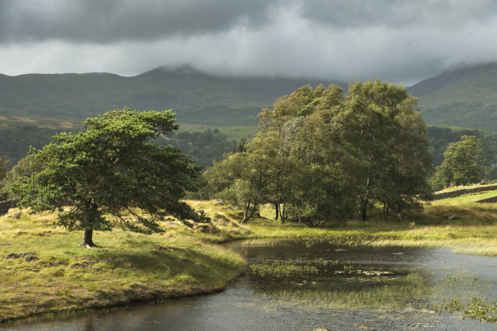 England, Cumbria, Lake District National Park.