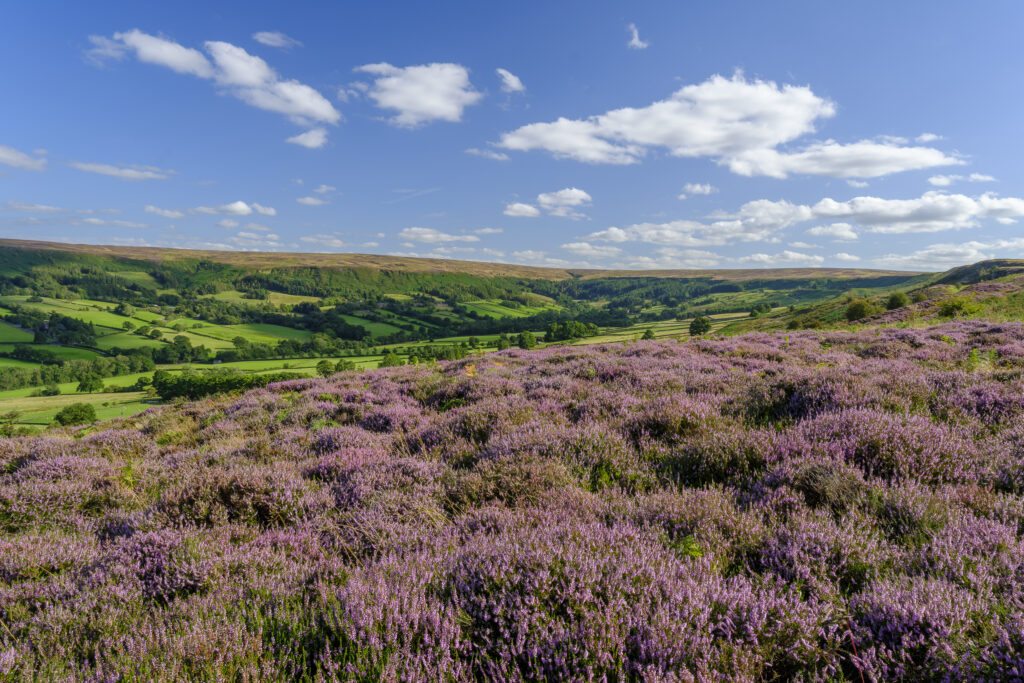England, North Yorkshire, North York Moors National Park.