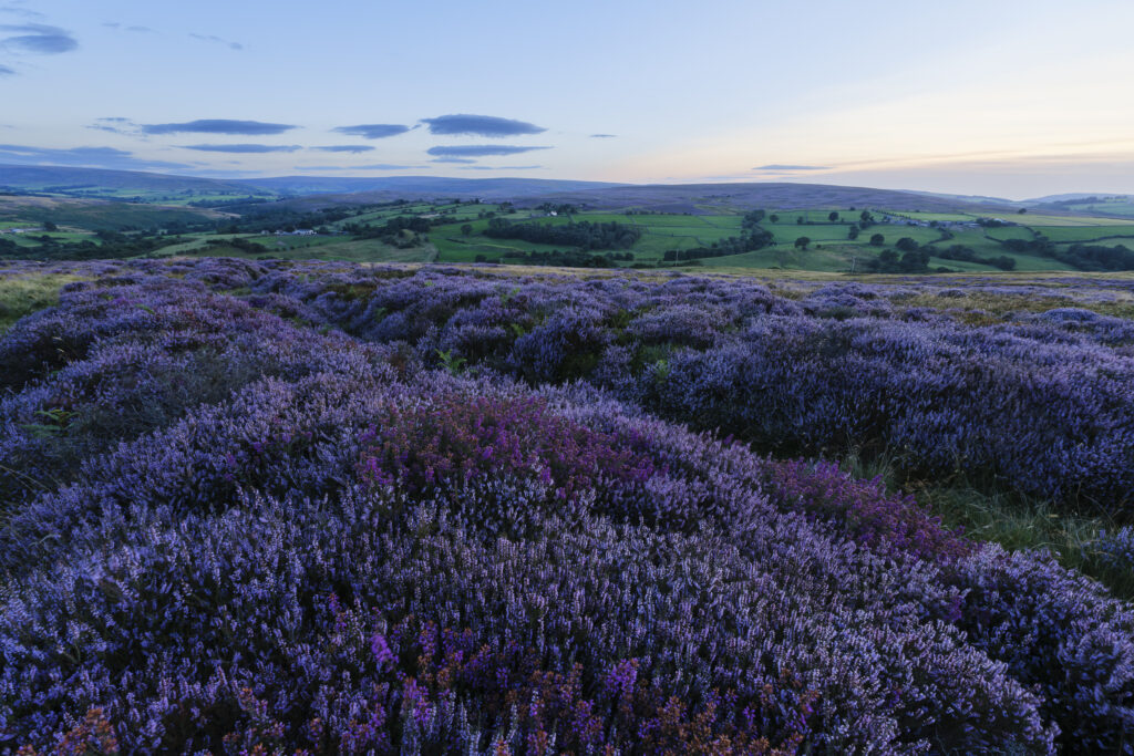 England, North Yorkshire, North York Moors National Park.