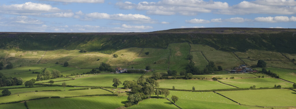 England, North Yorkshire, North York Moors National Park.