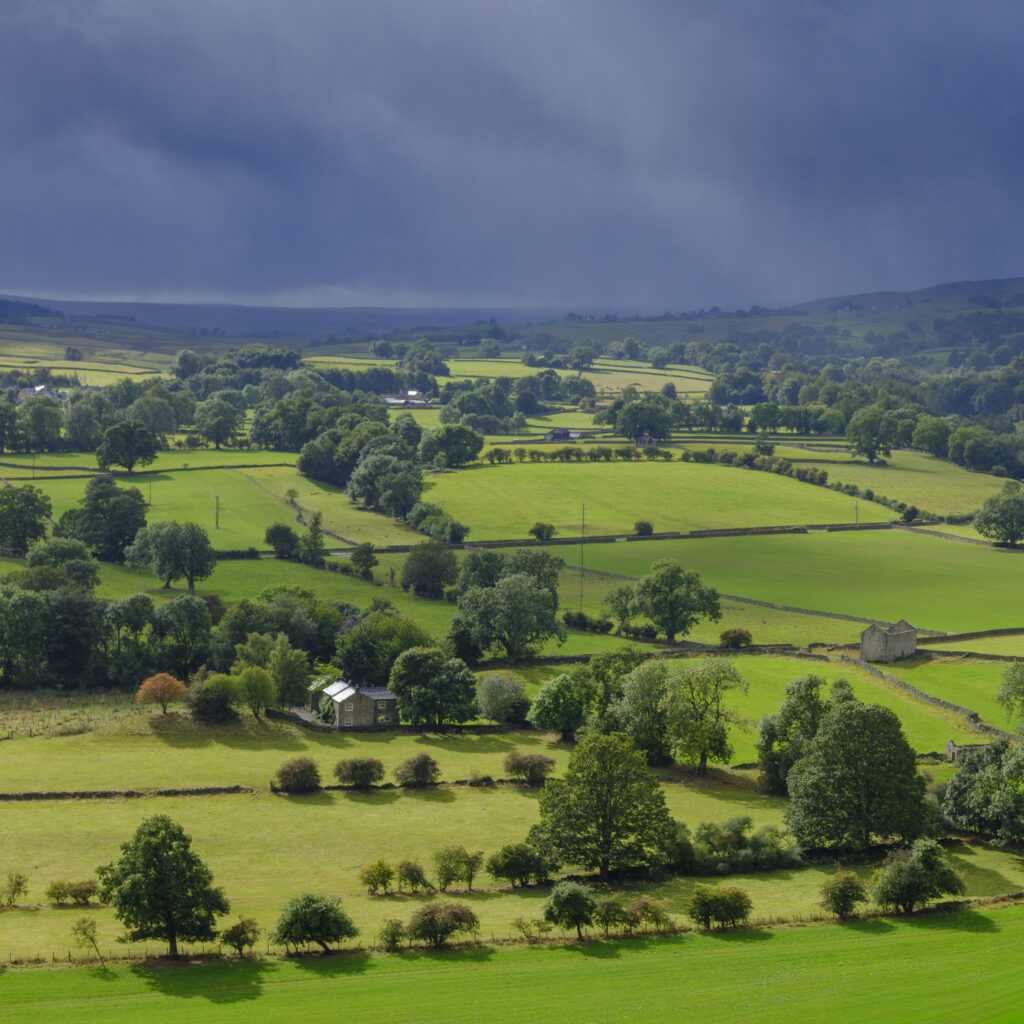 England, County Durham, North Pennines National Landscape.