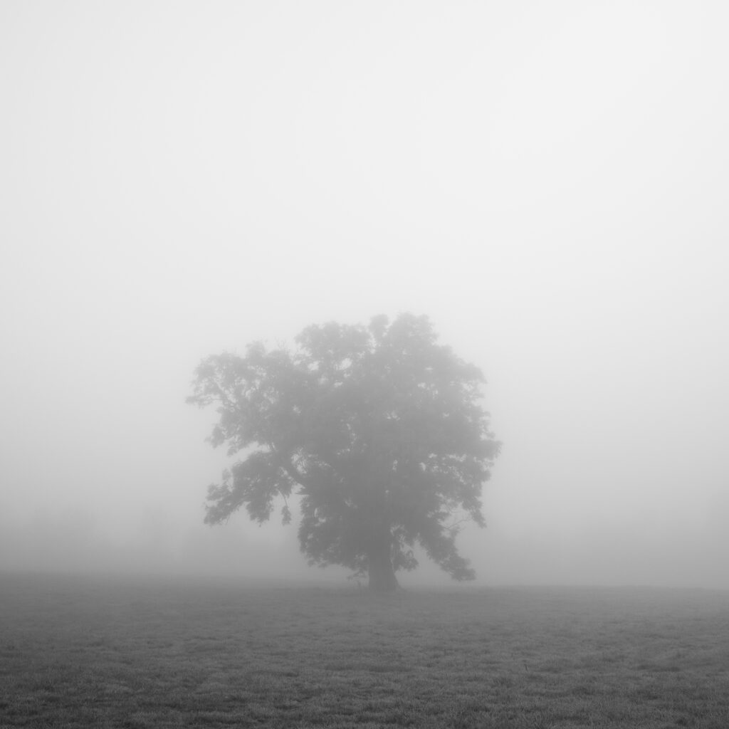 England, North Yorkshire, Northallerton.