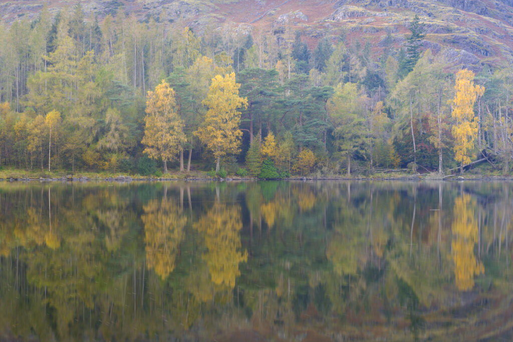 England, Cumbria, Lake District National Park.