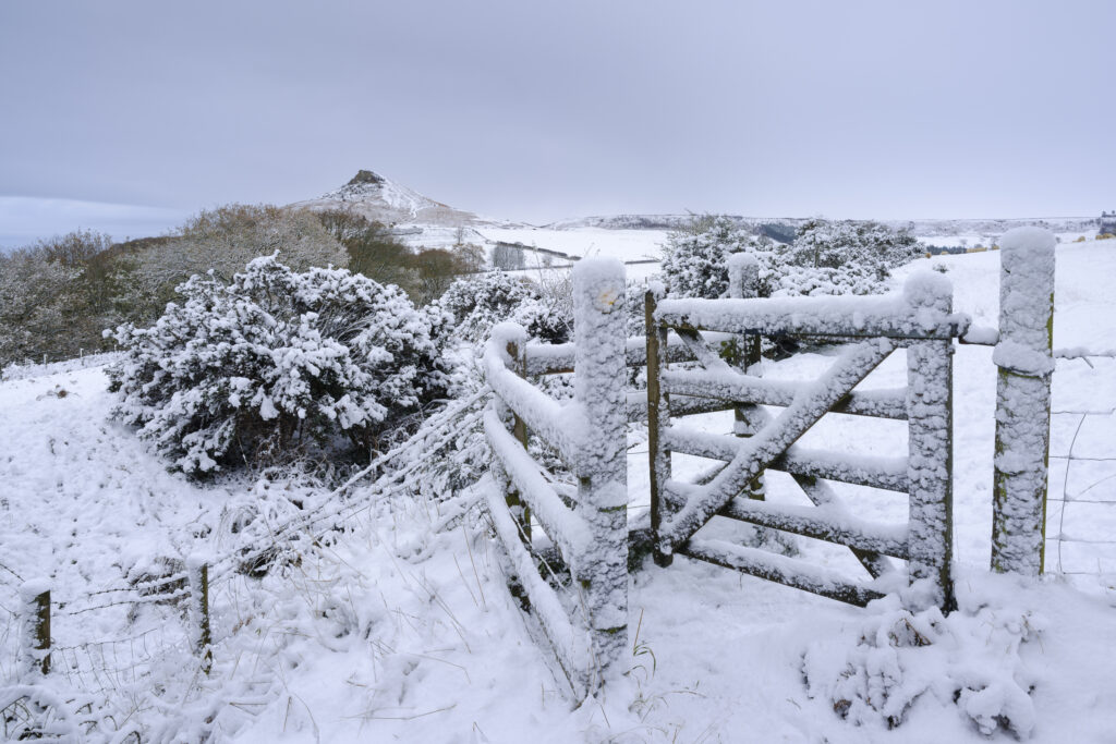 England, North Yorkshire, North York Moors National Park.