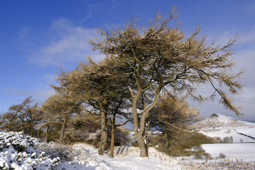 England, North Yorkshire, North York Moors National Park.
