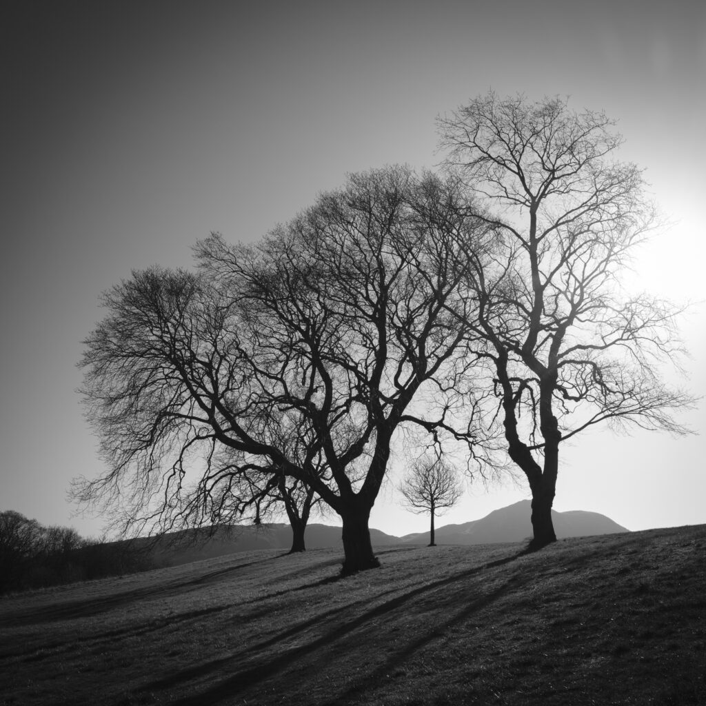 Scotland, Edinburgh, Calton Hill.