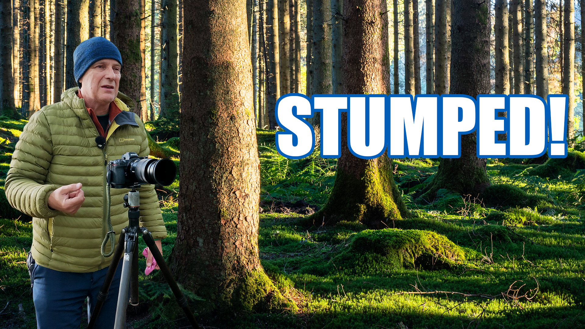 Landscape Photography in Kielder Forest: Finding Your First Composition